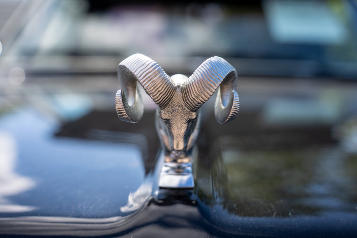 تأمين السيارة: كل ما تحتاج معرفته