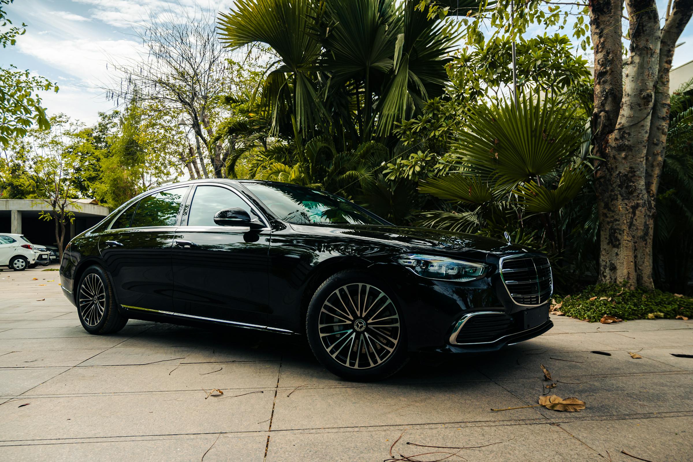 صميمات فريدة من